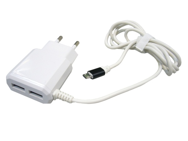 Зарядное устройство с USB BS-2040 2А 5В microUSB 1м